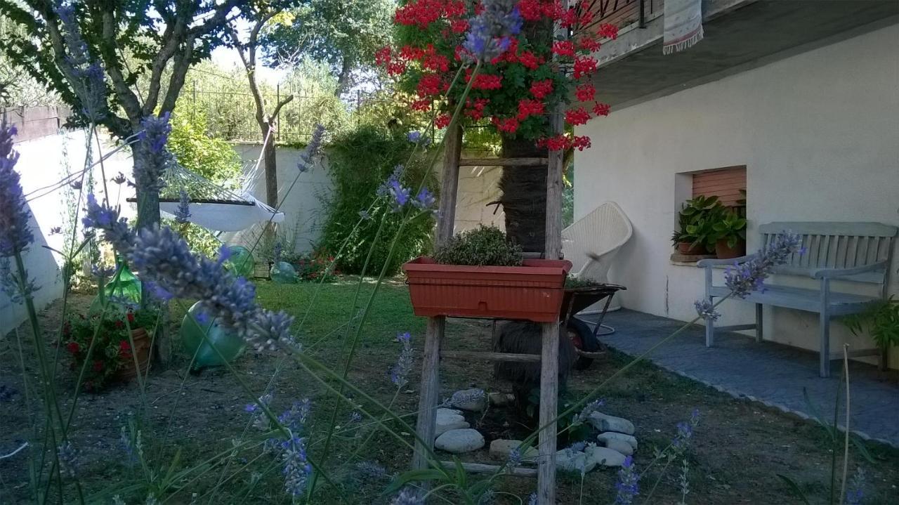 Montecarotto B&B Teranga מראה חיצוני תמונה