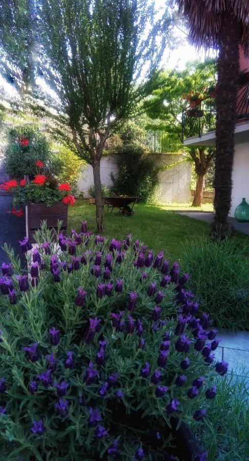 Montecarotto B&B Teranga מראה חיצוני תמונה