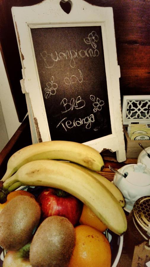 Montecarotto B&B Teranga מראה חיצוני תמונה
