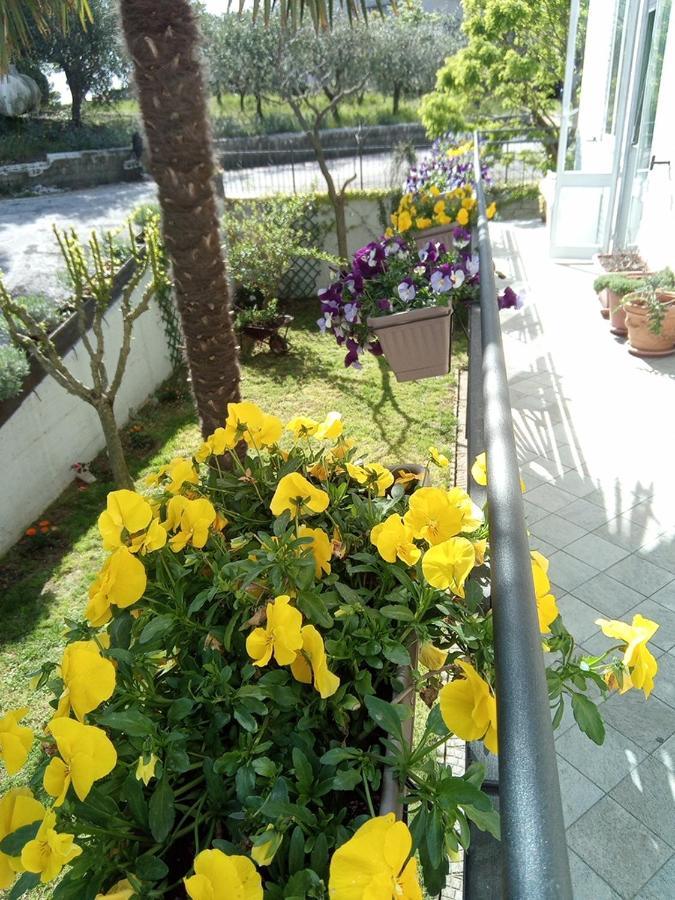 Montecarotto B&B Teranga מראה חיצוני תמונה